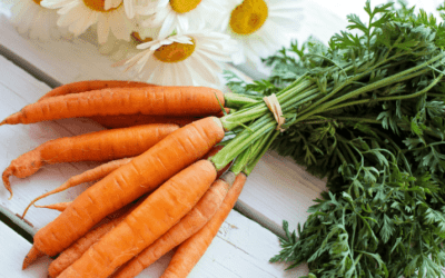 Fermented Carrots