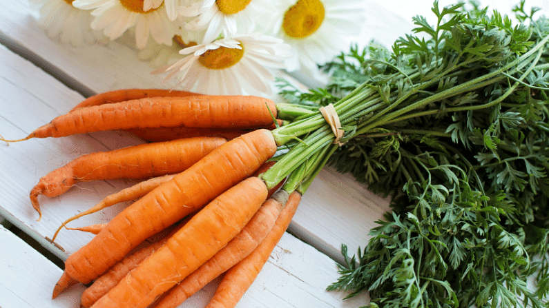 Probiotic Rich Fermented Carrots