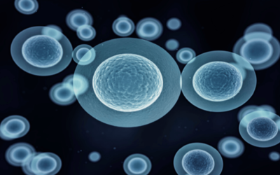 What Is The Autophagy Process And How Can You Benefit?